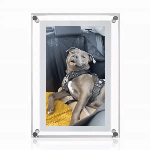 Eternity Frame
